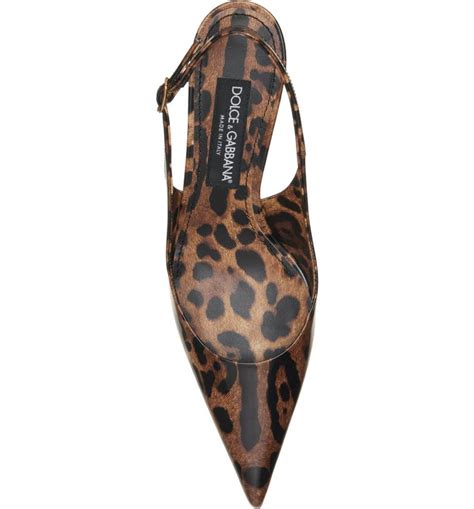 dolce gabbana leopard stiletto|Dolce&Gabbana Lollo Leopard Print Pointed Toe Slingback.